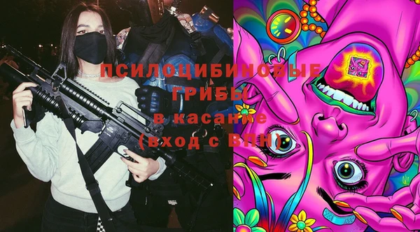 молекула духа Коряжма
