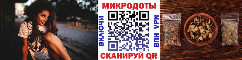 Галлюциногенные грибы прущие грибы  блэк спрут маркетплейс  Приволжский  как найти закладки 